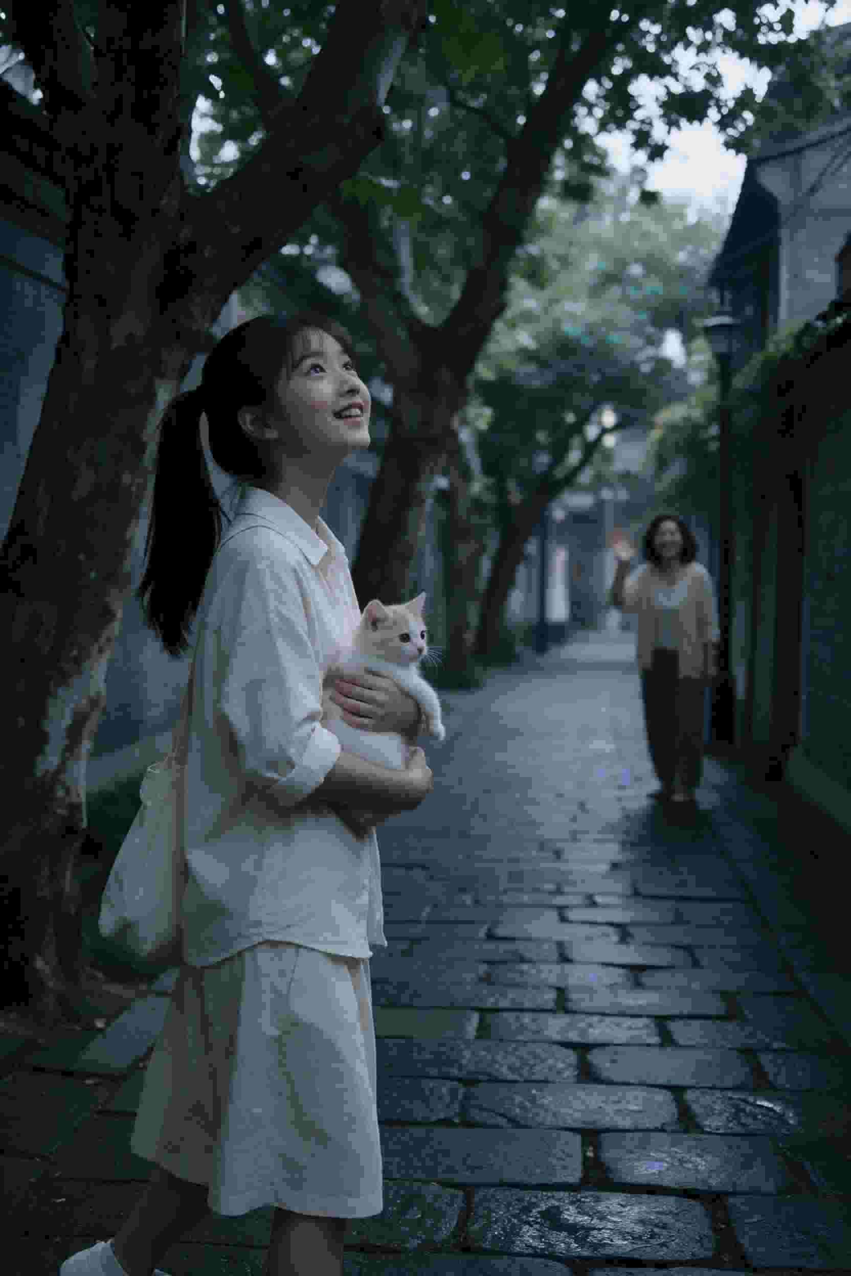 我的团长我的团